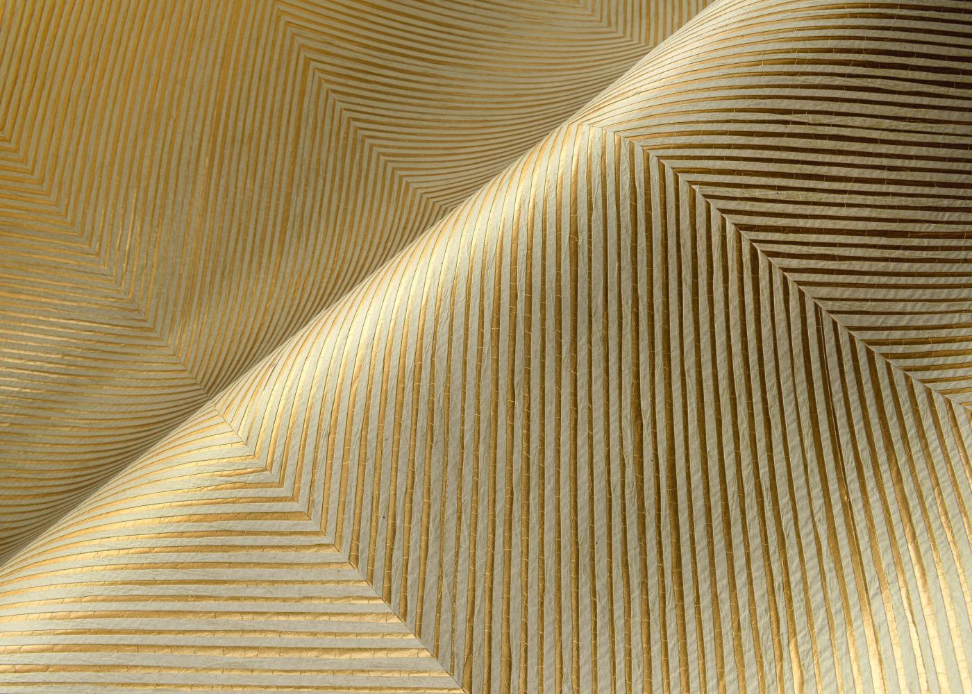 Zephyr_Kinisi_48602_Mood_Web_LR