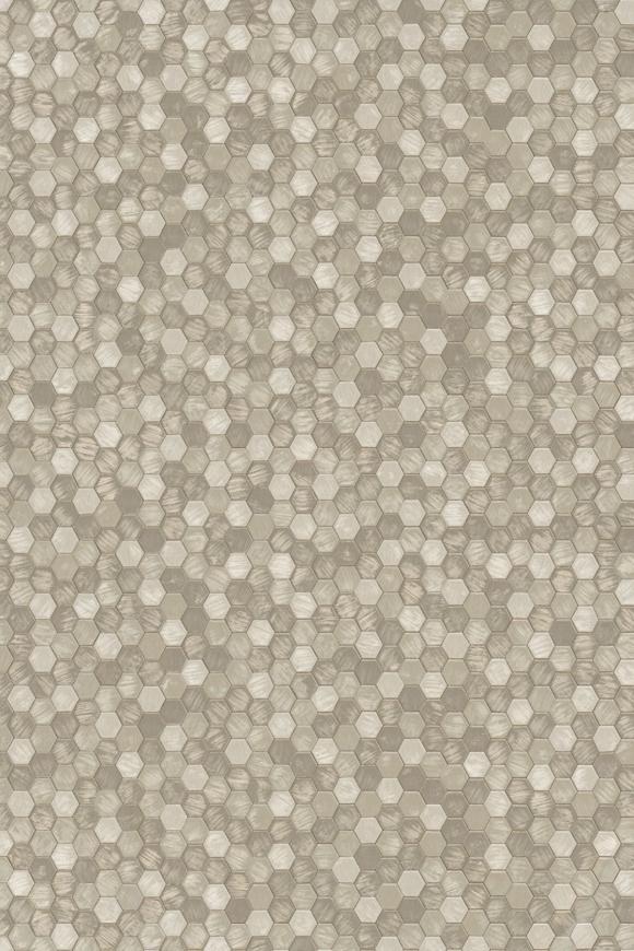 Orfeo_Polyphony_35252_Packshot_Web_LR