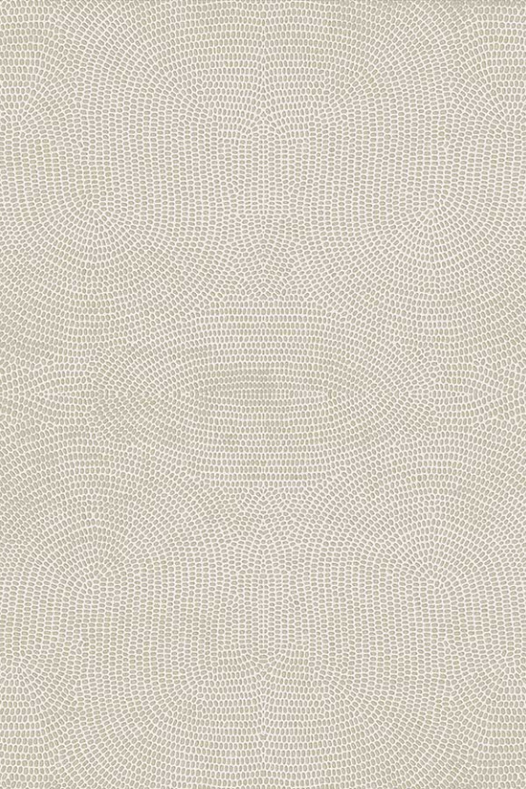 Paleo_Strata_50573_P