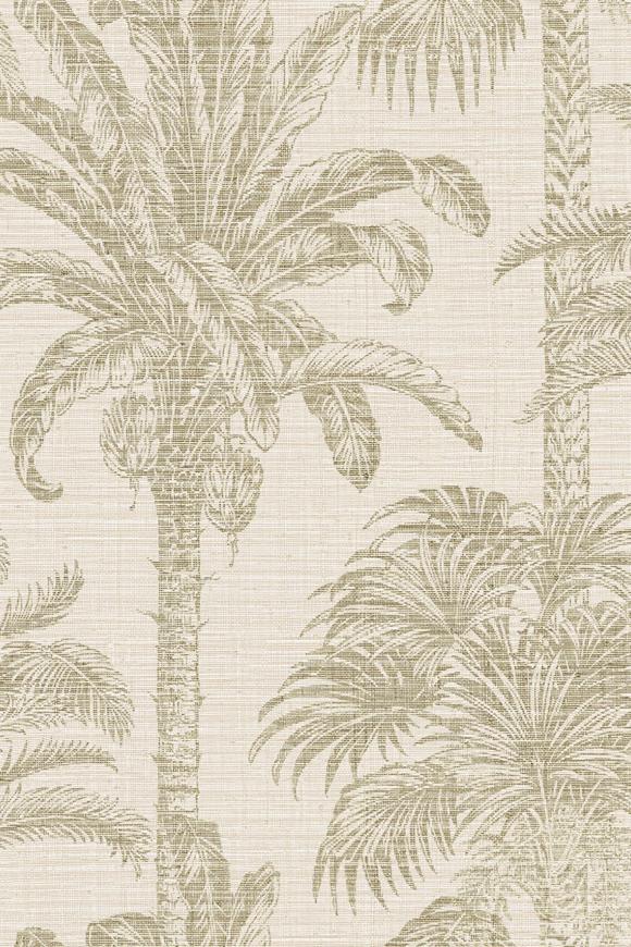 TropicalChique_Bonair_20431_Packshot_Web_LR