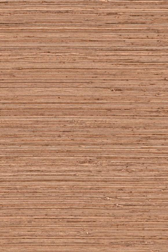 Textura Ignis — Arte