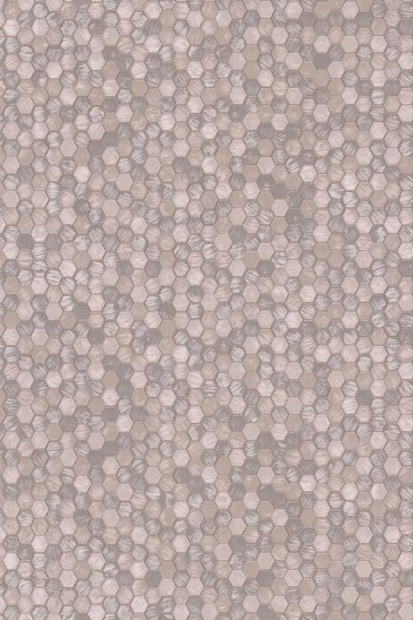 Orfeo_Polyphony_35253_Packshot_Web_LR