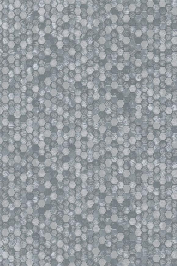 Orfeo_Polyphony_35250_Packshot_Web_LR